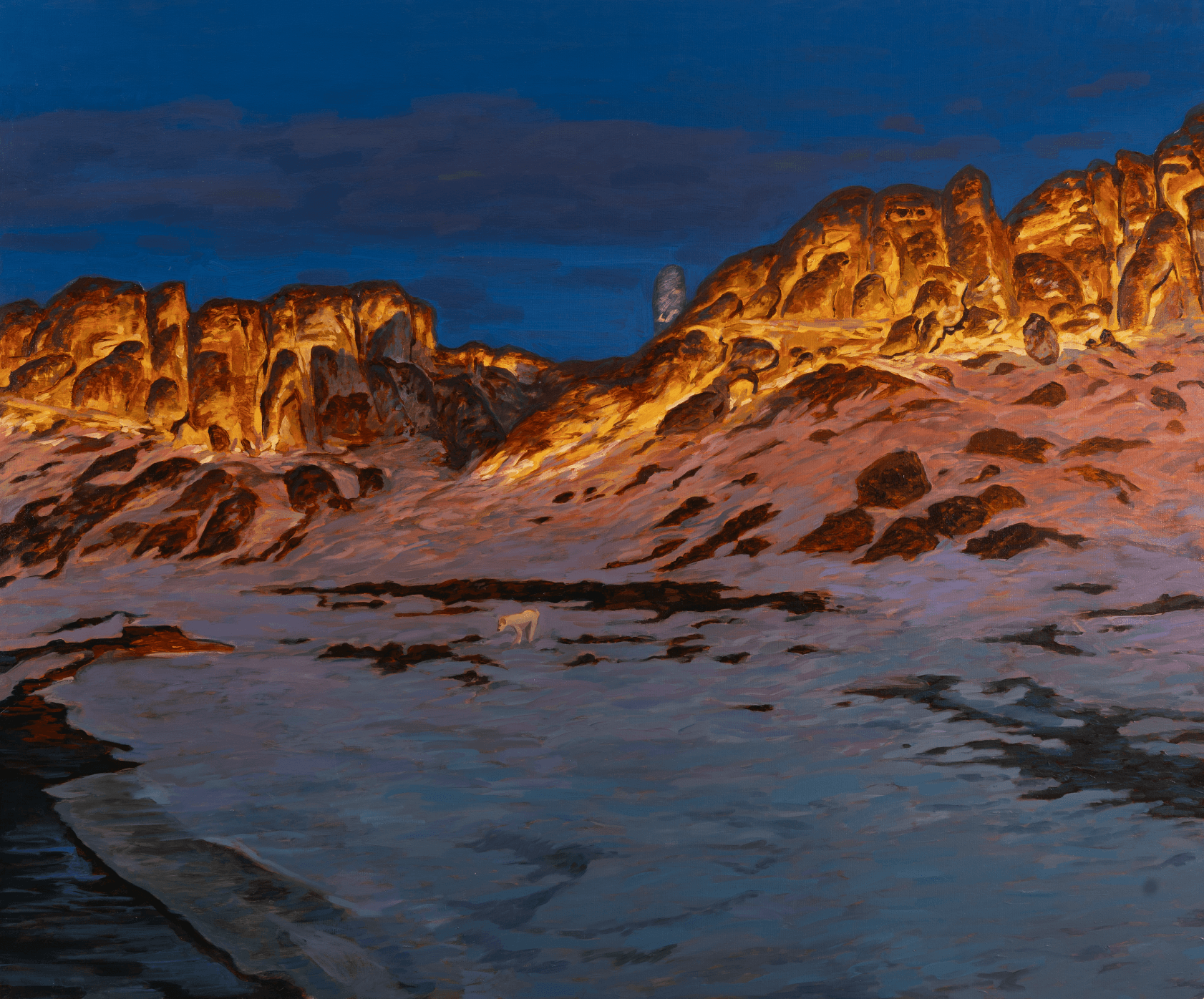 Ayda Roozbayani : Untitled