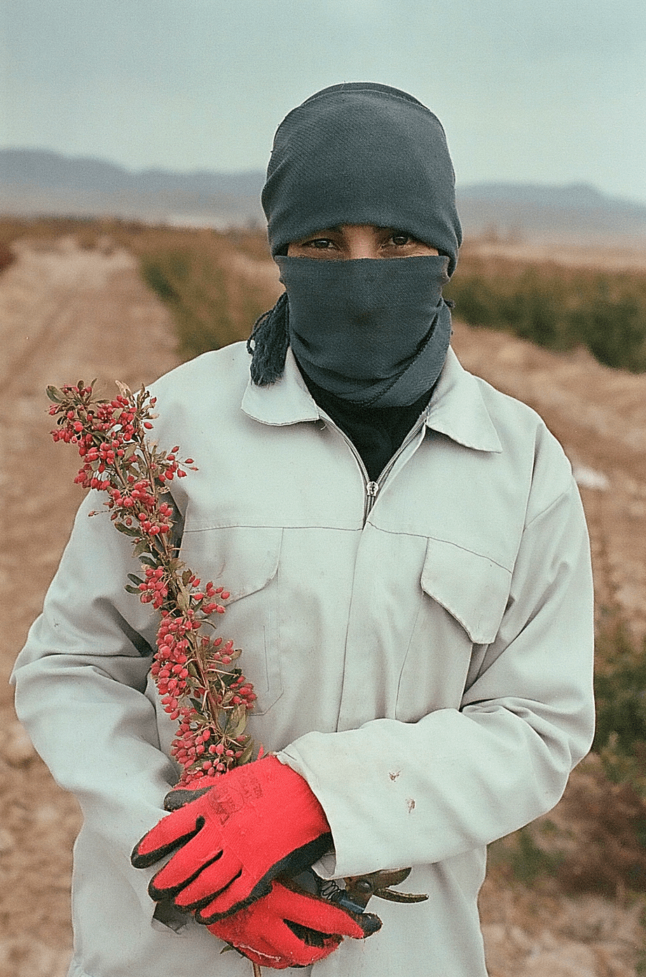 Maryam Khastoo: Untitled, From the series The Women of Birjand