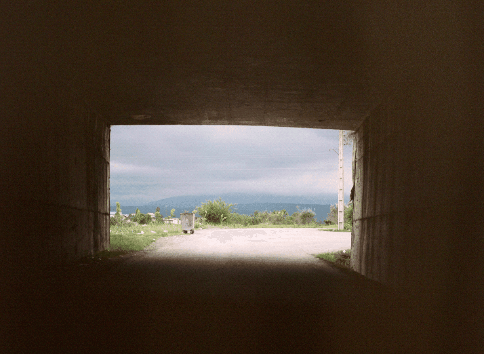 Maryam Khastoo: Untitled III, from the series Orange Blossom