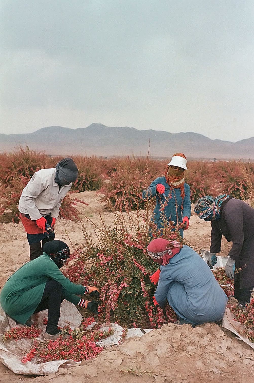Maryam Khastoo: Women of Birjand